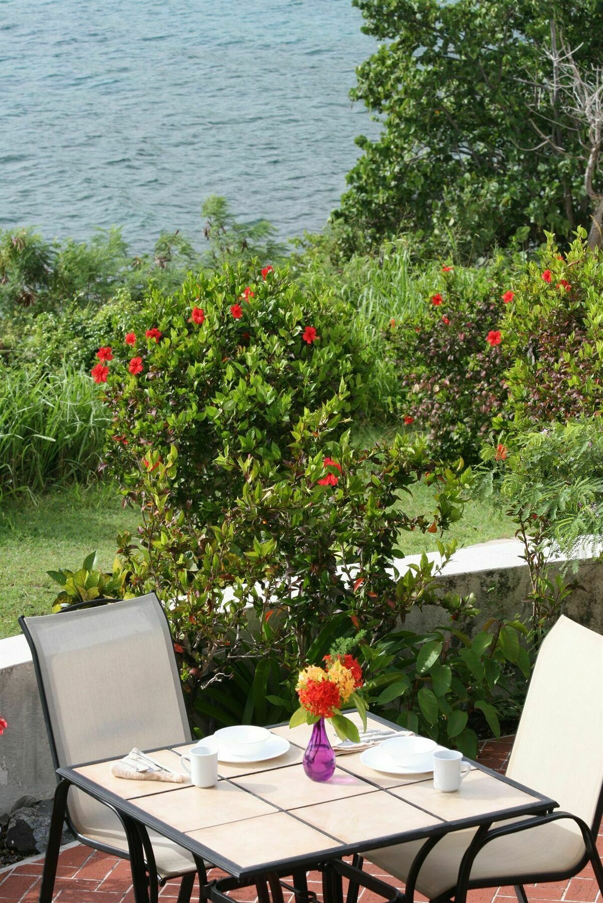 Hotel On The Cay Christiansted Exteriör bild